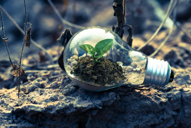 A small green sprout growing inside a lightbulb placed on dry, cracked earth, symbolizing a sustainable Project Development Plan.