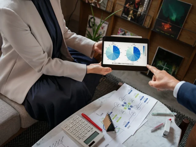 Project consulting for e-commerce – Drive Growth, Mitigate Risks